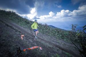 BIB: 
                            <button type="button" onclick="openModal(15955223)" class="btn btn-primary btn-sm float-right btn-popup" data-toggle="modal" data-target=".modal-high-quality">
                        <i class="fas fa-shopping-cart"></i> Add to Cart
                    </button>
                                            <button type="button" onclick="isThisMe(15955223, true)" class="btn btn-success btn-sm float-right btn-popup btn-isme hidden" data-toggle="tooltip" data-placement="bottom" title="นี่คือรูปของคุณใช่ไหม คลิกที่นี่เพื่อเอาเข้าอัลบั้ม">
                        <i class="fas fa-plus"></i> Add to album
                    </button>
                    <button type="button" onclick="isThisMe(15955223, false)" class="btn btn-warning btn-sm float-right btn-popup btn-isnotme hidden">
                        <i class="fas fa-ban"></i> Remove from album
                    </button>